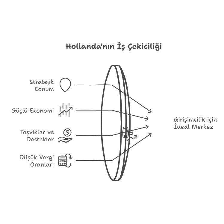 Hollanda&rsquo;da Şirket Kuruluşu